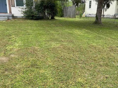 Lawn care service in Chattanooga, 37411