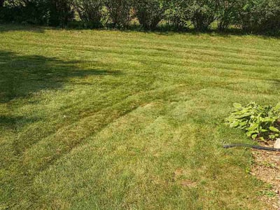 Lawn care service in Madison, 53705