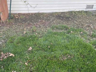 Lawn care service in Belleville, 62226