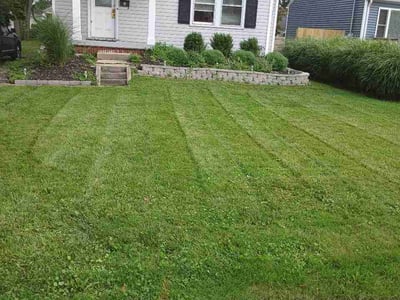 Lawn care service in Toledo, 43615