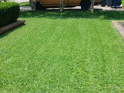 Lawn care service in Friendswood, 77546