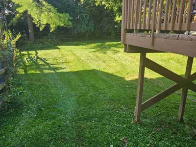 Lawn care service in Cincinnati, 45208