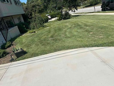Lawn care service in Raleigh, 27609