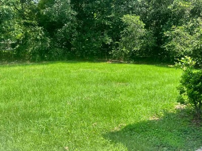 Lawn care service in Zachary, 70791
