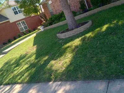 Lawn care service in Allen, 75002