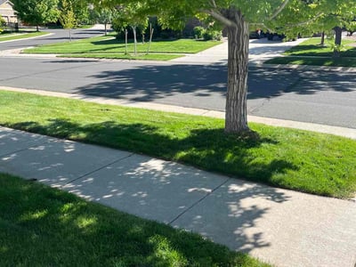 Lawn care service in Aurora, 80016