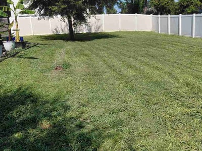 Lawn care service in Deltona, 32738