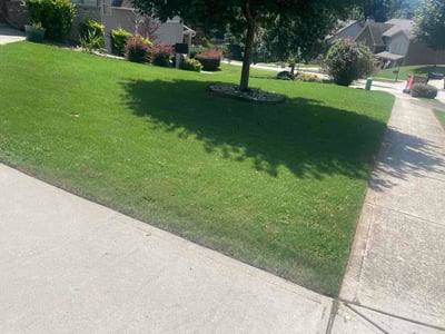 Lawn care service in Flowery Branch, 30542