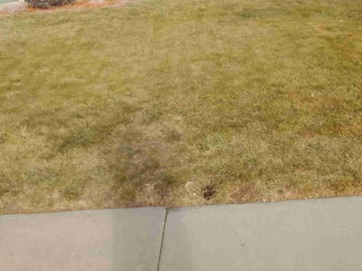 Lawn care service in Fountain, 80817