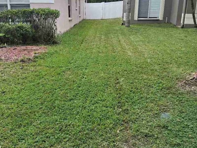 Lawn care service in Tampa, 33647