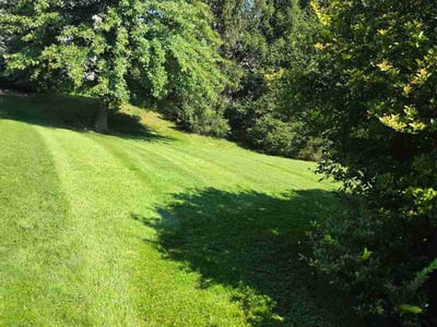 Lawn care service in Cleveland, 44143