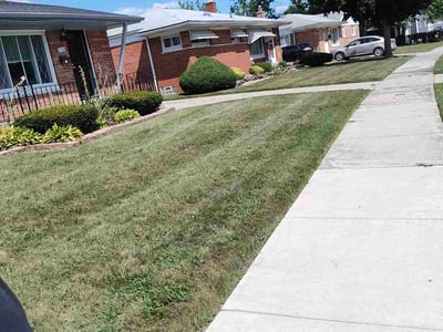 Lawn care service in Westland, 48186