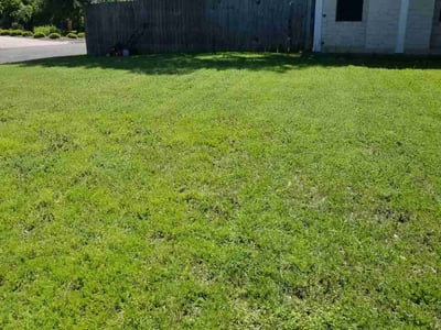 Lawn care service in Austin, 78748