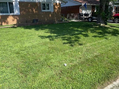 Lawn care service in Enon, 45323