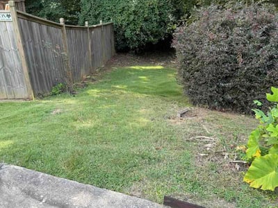 Lawn care service in Woodstock, 30188