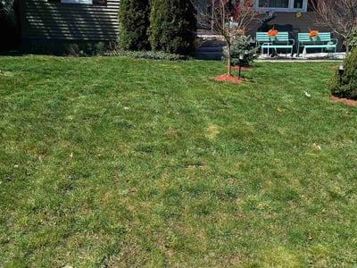 Lawn care service in Nashua, 03063