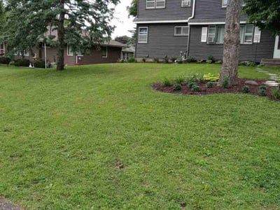 Lawn care service in Maplewood, 55109