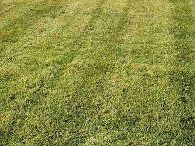 Lawn care service in Olathe, 66062