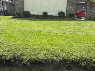 Lawn care service in Ladson, 29456