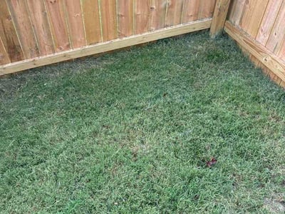 Lawn care service in Louisville, 40291