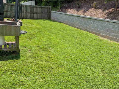 Lawn care service in High Point, 27265