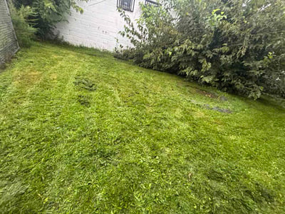 Lawn care service in Newark, 07103