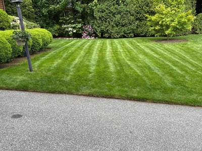 Lawn care service in Warwick, 02886