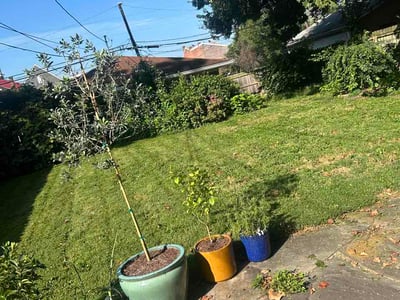 Lawn care service in Louisville, 40204