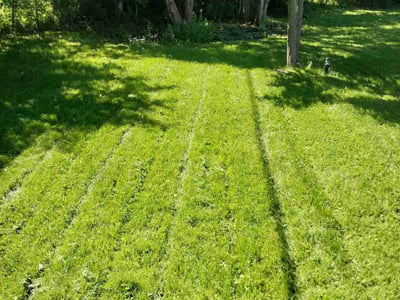 Lawn care service in Milwaukee, 53218