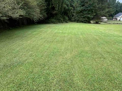 Lawn care service in Temple, 30179