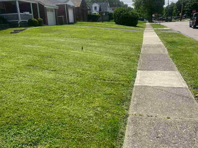 Lawn care service in Cincinnati, 45236