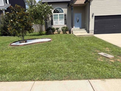 Lawn care service in Clarksville, 37040