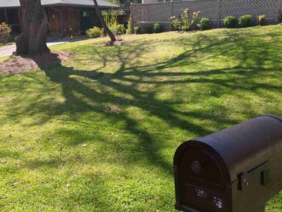 Lawn care service in Marietta, 30067