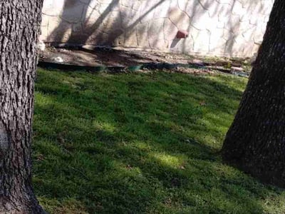 Lawn care service in Arlington, 76006