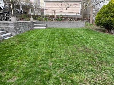 Lawn care service in Boston, 02131