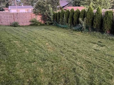 Lawn care service in Milwaukee, 53228