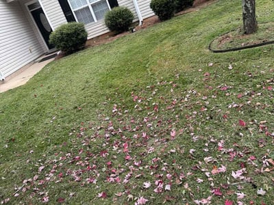 Lawn care service in Winston-Salem, 27107