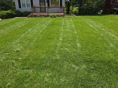 Lawn care service in Kansas City, 64155