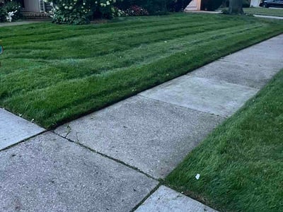 Lawn care service in Detroit, 48223