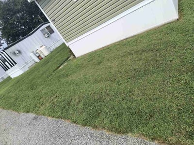 Lawn care service in Dover, 19904