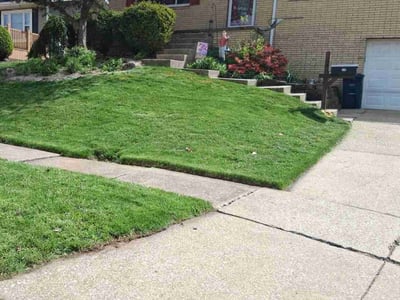 Lawn care service in Akron, 44305