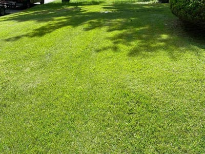 Lawn care service in Florissant, 63033