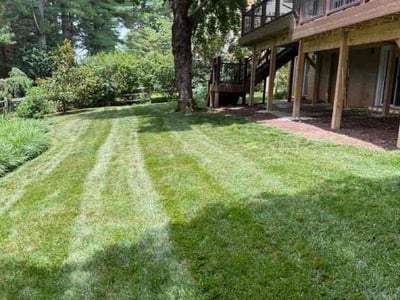 Lawn care service in Gaithersburg, 20886