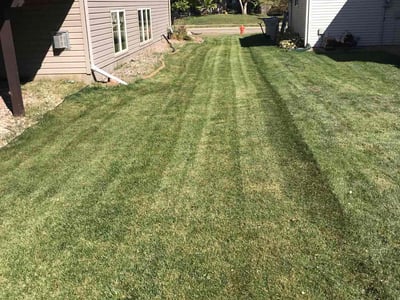 Lawn care service in Rochester, 55902