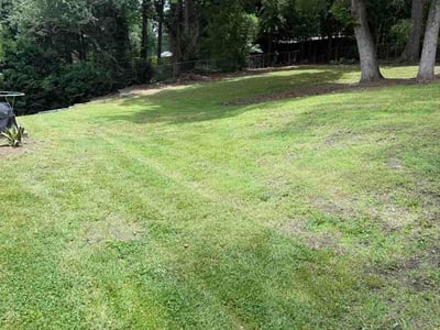 Lawn care service in Marietta, 30068