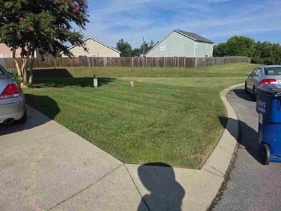 Lawn care service in Smyrna, 37167