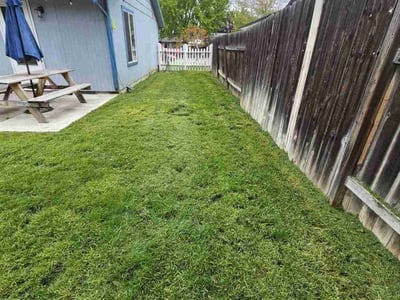 Lawn care service in Boise, 83716