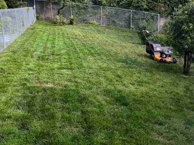 Lawn care service in Auburn, 98001