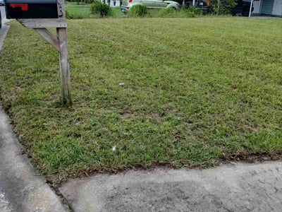 Lawn care service in Ocoee, 34761