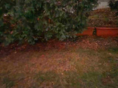 Lawn care service in , 